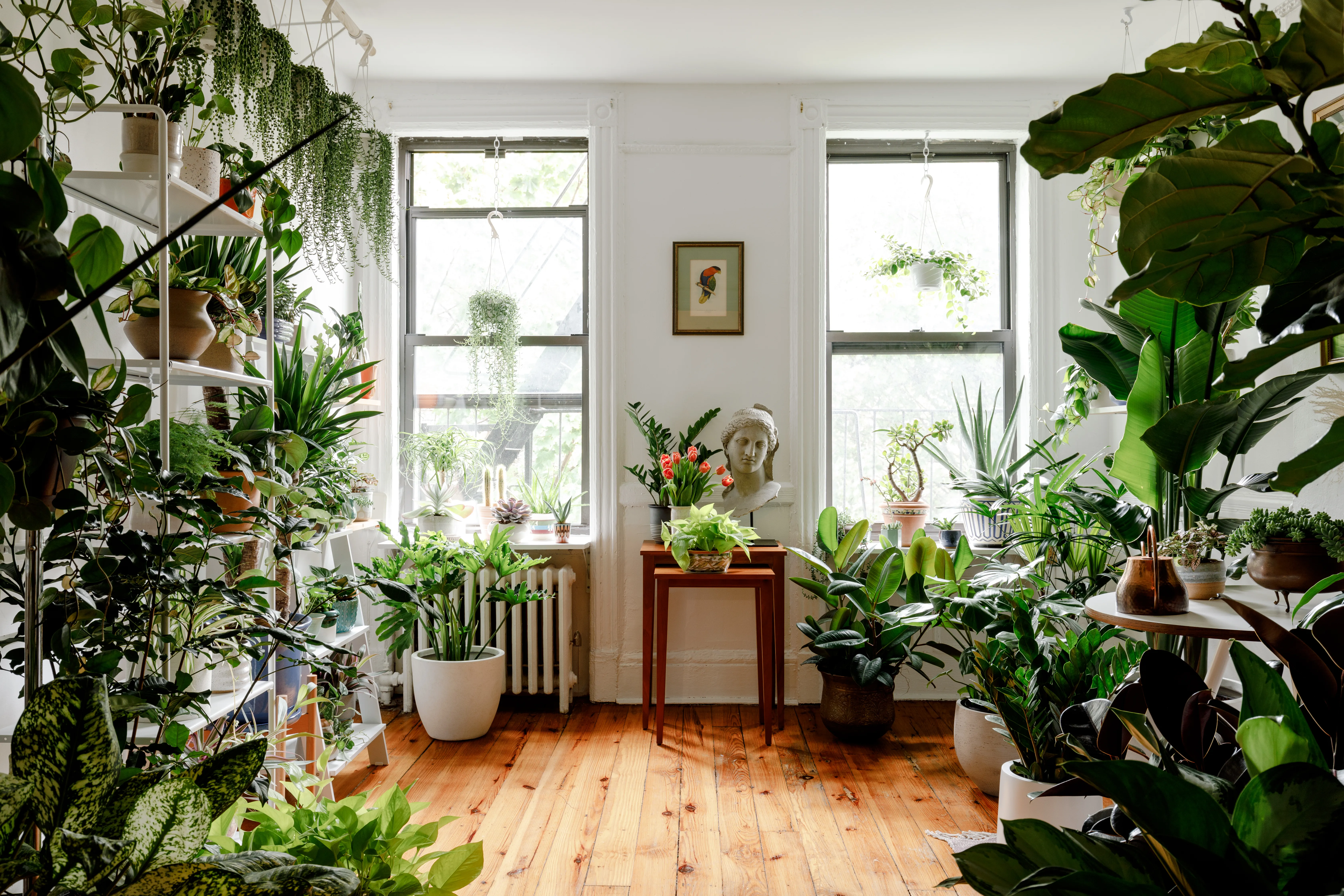 Serene wellness-focused living room with natural light and plants